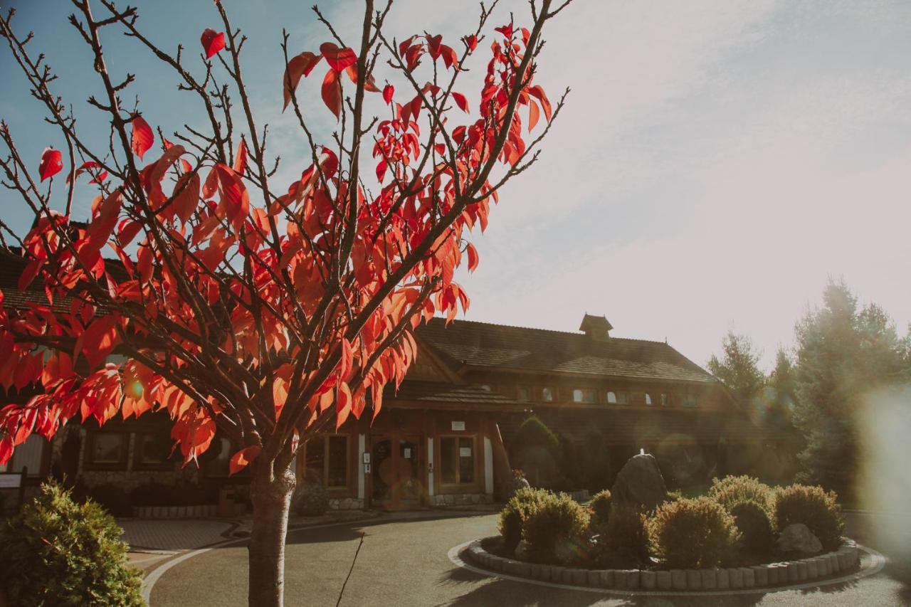 Bajka Hotel & Resort Grodziec Экстерьер фото